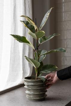 Storefactory Havsnås Blomsterkrukke Grønn (516-319115)