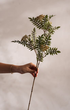 Mr Plant Kunstig Kvist Rogn H80