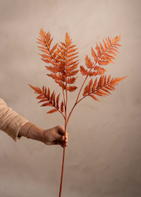 Mr Plant Kunstig Ormegress Oransje H90