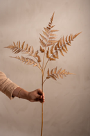 Mr Plant Kunstig Ormegress Beige H90