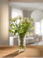 Halvor Bakke Harlekin Lykt/Vase 28cm Klar