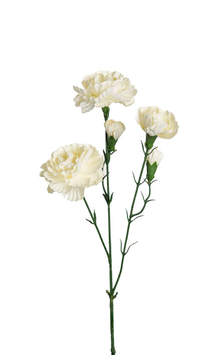 Mr Plant Kunstig Blomst Nellik-Hvit H65