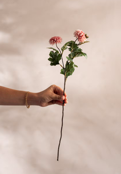 Mr Plant Kunstig Blomst Krystanthemum-Rosa H53