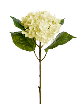 Mr Plant Kunstig Blomst Hortensia-Hvit H40