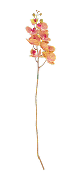 Villa Collection Kunstig Blomst Orkide-Fersken H102