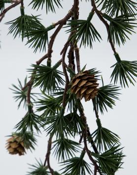 House Doctor Krans Torch Grønn Ø50 (151-267740010)