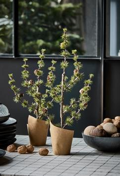 House Doctor Sedertre Stay Grønn (151-267740001,267740002)