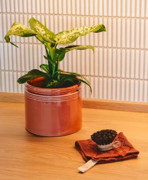 UND Legacy Krukke Brick (636-legacy-krukke-brick)