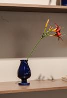 UND Legacy Vase m/fot Kobolt H17