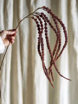 Bloomingville Kunstig Stilkblomst Foxtail Brun H91