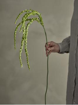 Bloomingville Kunstig Stilkblomst Foxtail Grønn H107