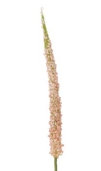 Bloomingville Kunstig Stilkblomst Foxtail Rosa H73 (152-82061510)