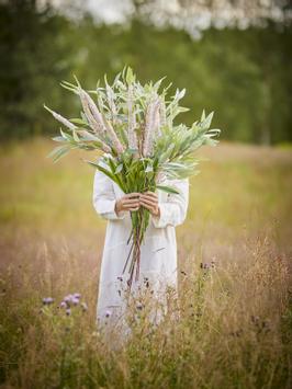Bloomingville Kunstig Stilkblomst Foxtail Rosa H73 (152-82061510)