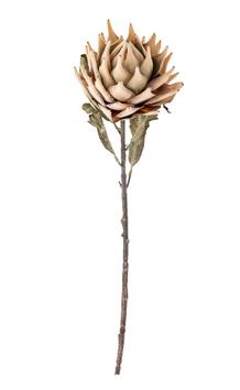 Bloomingville Kunstig Stilkblomst Protea Natur H76 (152-82061468)