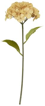 Ib Laursen Kunstig Blomst Hortensia-Gylden H60