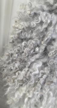 Granberg  Norsk Saueskinn Pelssau 110-120cm Lys-Grå krøllete-pels (668-2001076-lys)