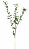 Mr Plant Kunstig kvist Ruscus H110 grønn (260-4637-90)