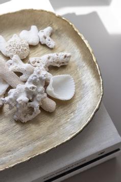 Lama Brett Ines Matt-gull 34x20 (479-120603)