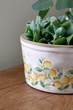 Chic Antique Limona Potteskjuler Sitroner Ø16,5 (529-65106919)