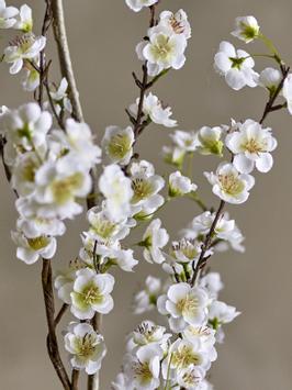 Bloomingville Kunstig Gren Eplekvist H152 (152-82072831)