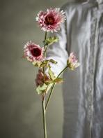 Bloomingville Kunstig Blomst Krysantemum-Rosa H96