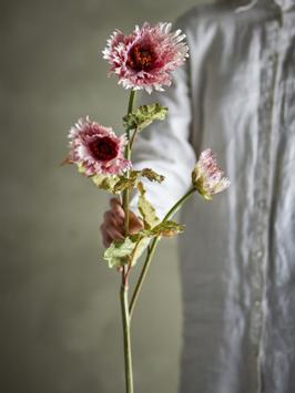 Bloomingville Kunstig Blomst Krysantemum-Rosa H96