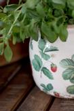 Chic Antique Fraises Potteskjuler Jordbær Ø9,5 (529-65104419)