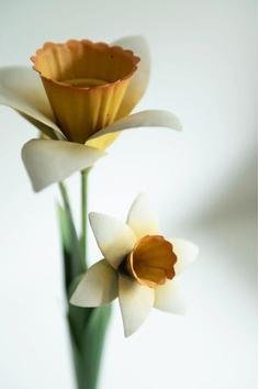 Bungalow Lysestake Påskelilje Straw H26 (834-MECA26DAF406)