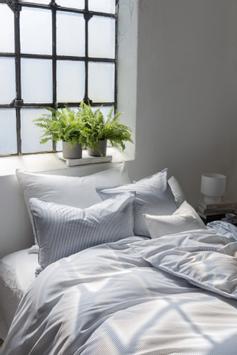 Borås Cotton Cille Sengesett Bomull Blå (479-120801)