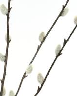 House Doctor Kunstig Gren Gåsunger H95