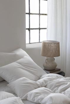 Norsk Dun Dunpute 3-kammer 90%-andedun 50x70 (479-121163,121162)