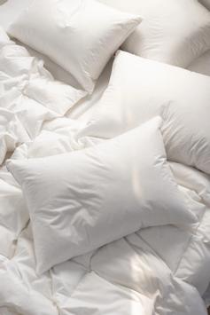 Norsk Dun Dunpute 100% andedun 50x70