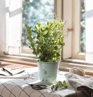 Mummi Blomsterpotte Grønn metall H11