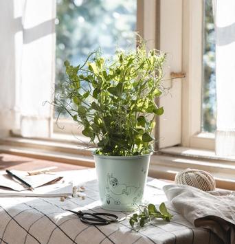 Mummi Blomsterpotte Grønn metall H11