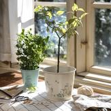 Mummi Blomsterpotte Grønn metall H11 (489-6416114973941)