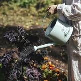 Mummi Vannkanne Grønn metall 4L (489-6416114973965)