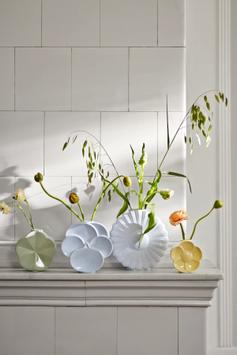 Lyngby Flower Vase Prestekrage-Hvit H21 (521-202021)