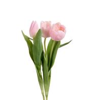 Mr Plant Kunstig Stilkblomst Tulipan-Lyserosa H36