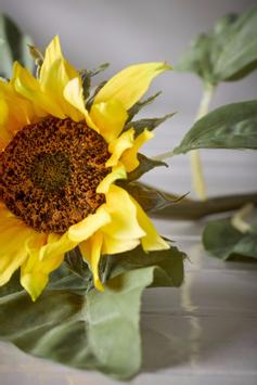 Mr Plant Kunstig Stilkblomst Solsikke H70 (260-9128-50)