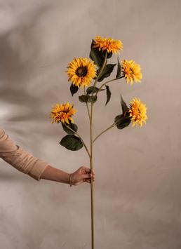 Mr Plant Kunstig Stilkblomst Solsikke H115