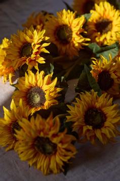 Mr Plant Kunstig Stilkblomst Solsikke H115 (260-4719-50)