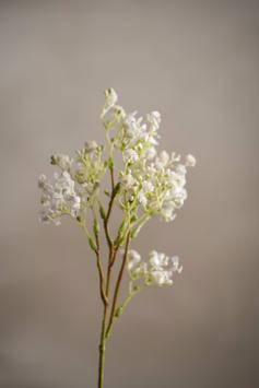 Mr Plant Kunstig Stilkblomst Brudeslør-Hvit H35 (260-4932-10)