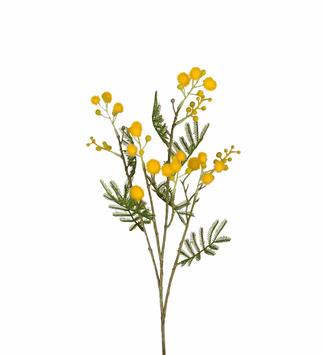 Mr Plant Kunstig Stilkblomst Mimosa H60