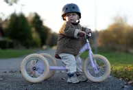 Trybike 3-Hjuls Løpesykkel Vintage-Lilla (371-30TBS-3-PUR-VIN)