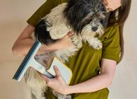 Joseph Joseph Clean Tech Tepperenser 2-i-1 fjerner dyrehår (655-60236612)