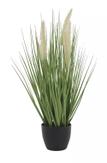 Chic Antique Kunstig Plante Siv/ Revehale H52 (529-39123307)