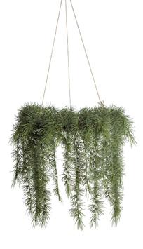 Mr Plant Krans Ø40