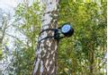 Admiral Staging Woodpecker tree/pole bracket (RIHABB00)