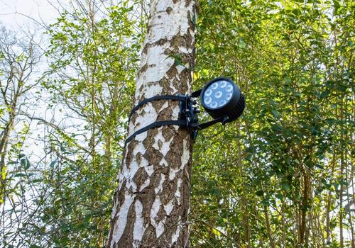 Admiral Staging Woodpecker tree/pole bracket (RIHABB00)