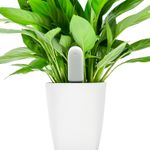 Xiaomi smart plantesensor med Bluetooth Måler fuktighet,  næringsinnhold,  temperatur og lys (VegTrug Flora Monitor) (FLORA-MONITOR)